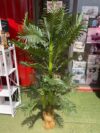 Artificial palm plant