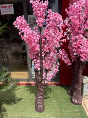Cherry blossom 5ft