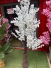 Cherry blossom 6ft